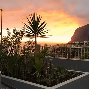  Apartment Oasis -